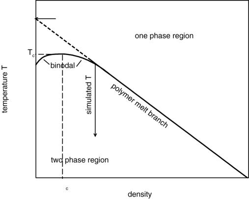 generic phase diagram for polymers