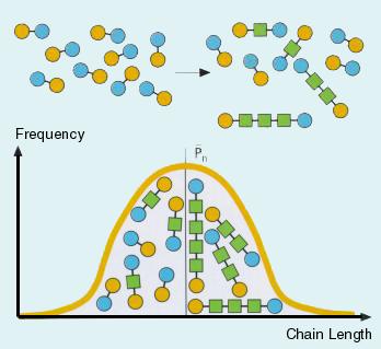 dispersion in the chain length