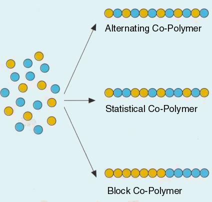 interior structure of polymers