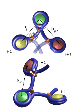 Chromatin Model